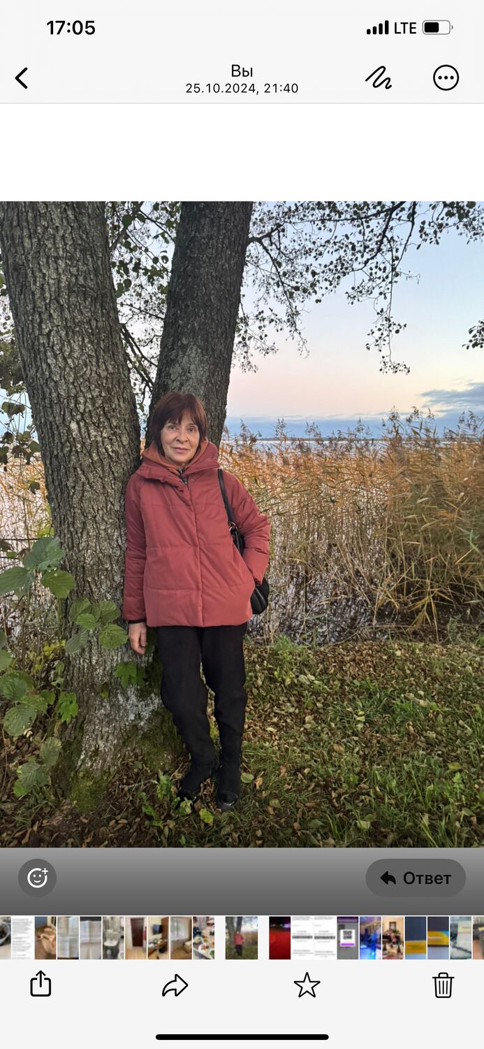  54601941  , 67 ,    -