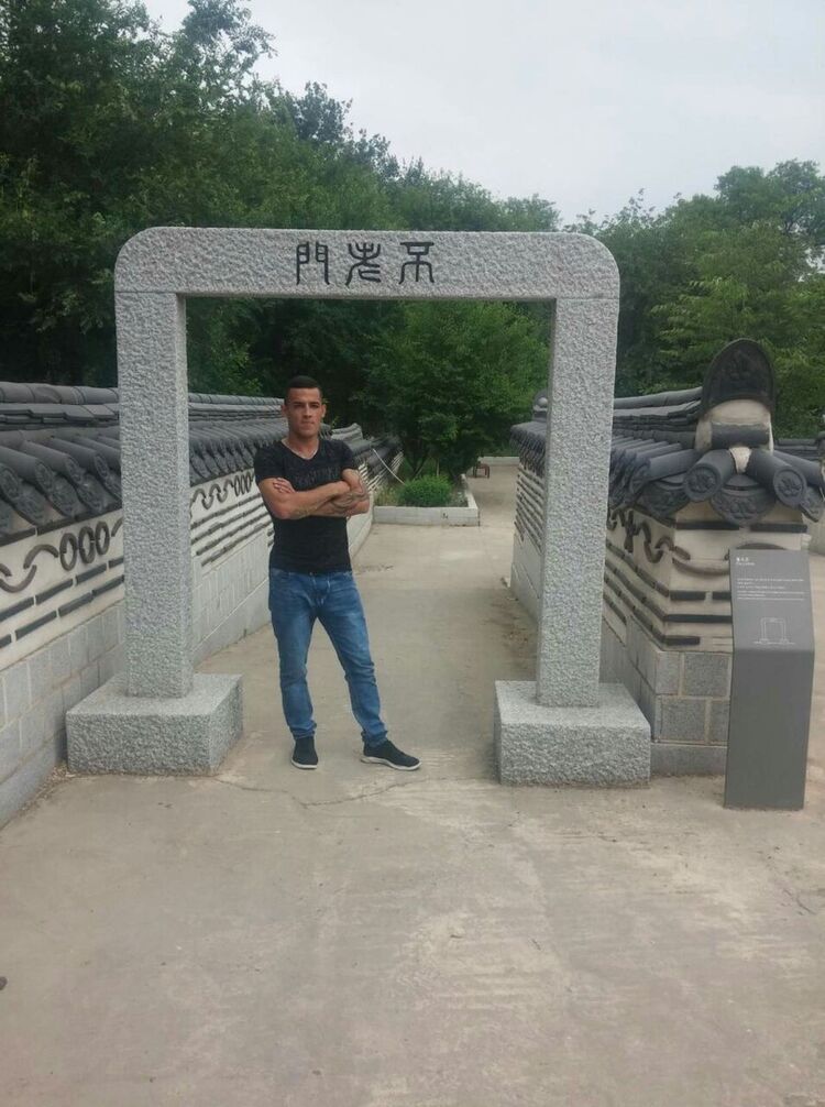  17701391  , 31 ,    