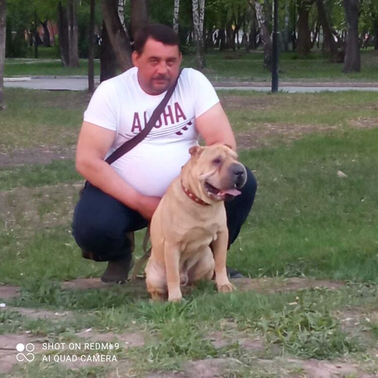 ���� 36727211 ������� ���������, 49 ���, ���� ���������� � ��������