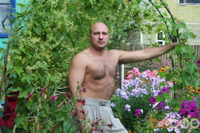 ���������� ������, ���� ������� Antarius44, 64 ����, ������������ ��� ����� � ���������, c�������� ���������