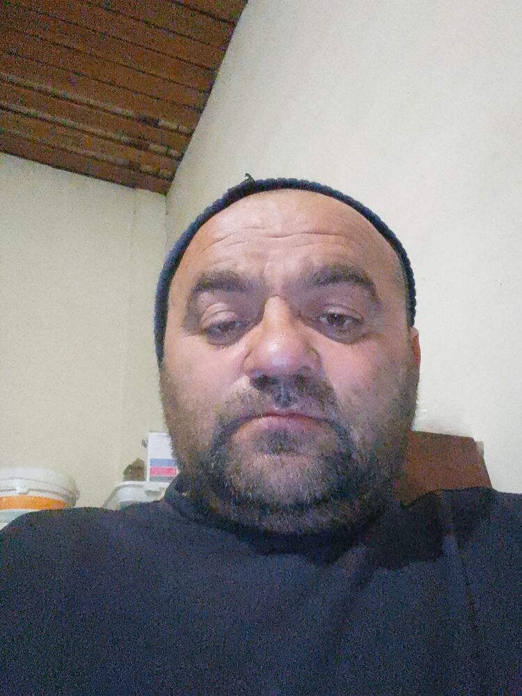 33605911  , 49 ,    