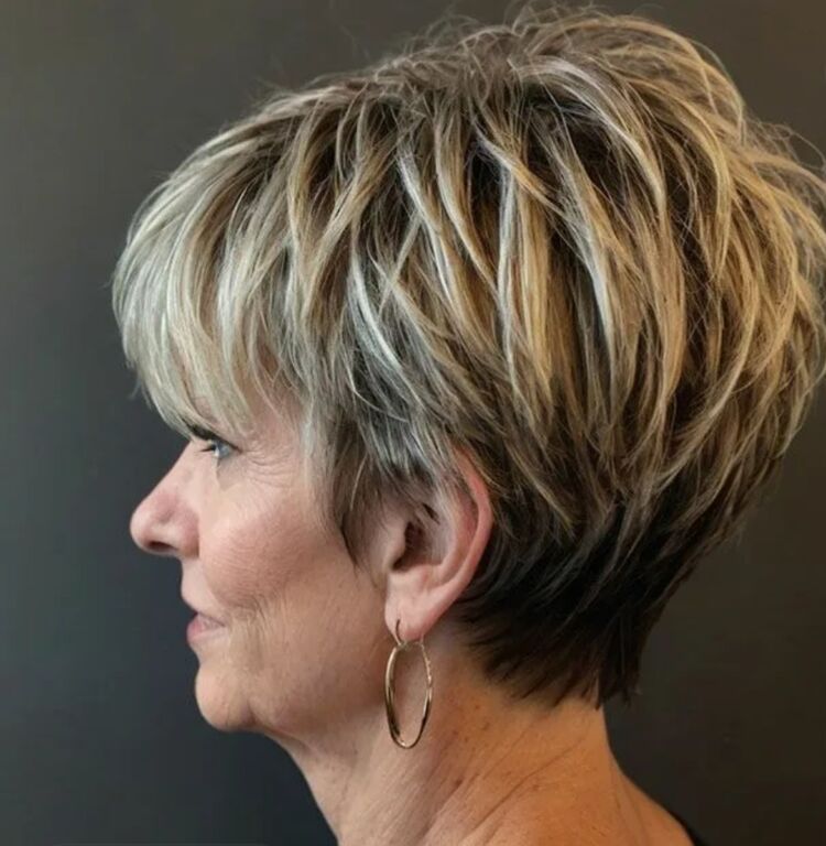 ���� 55079901 ������� ������, 56 ���, ���� ���������� � ���������