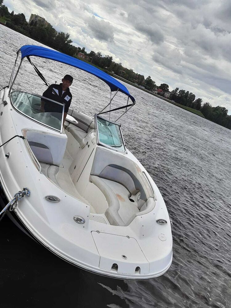 ���������� �����-���������, ���� ������� �������, 49 ���, ������������ ��� c�������� ���������