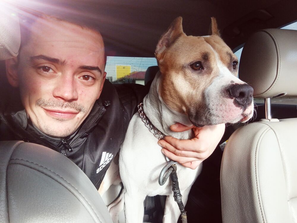 ���� 38702091 ������� ����, 32 ����, ���� ���������� � ������ ���������