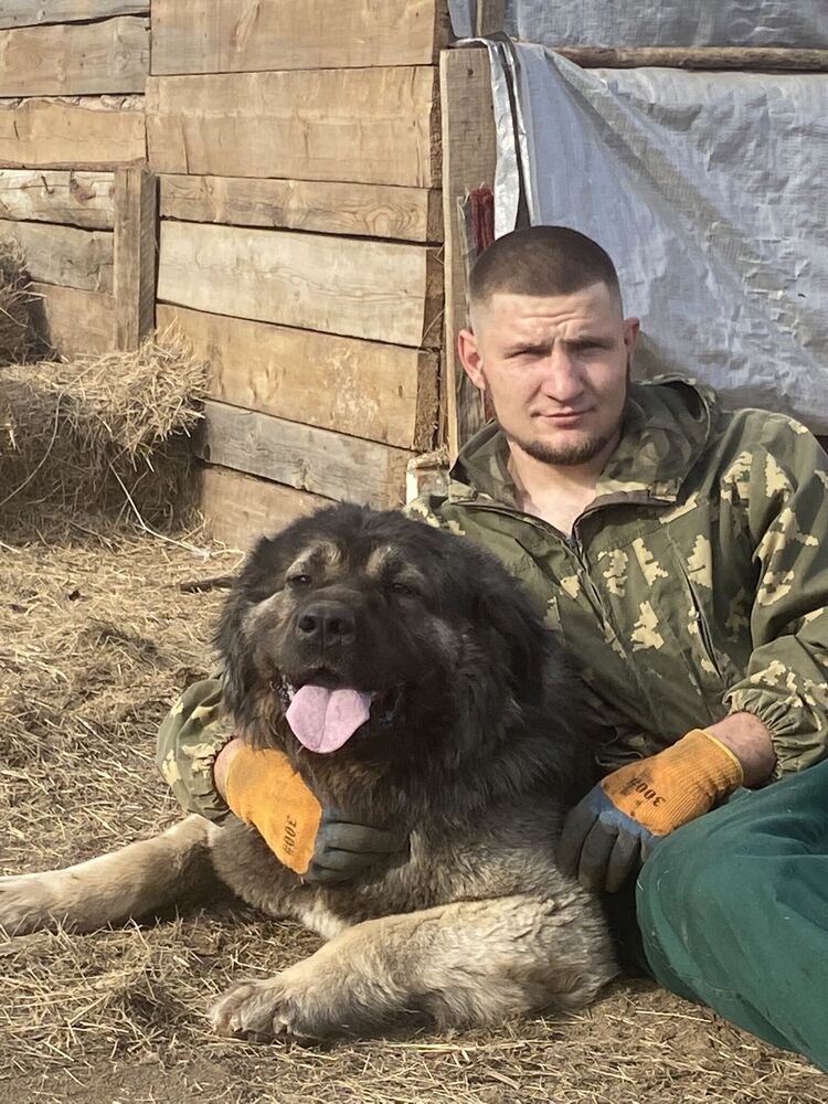 ���������� ������, ���� ������� ������, 26 ���, ������������ ��� ������, ����� � ���������