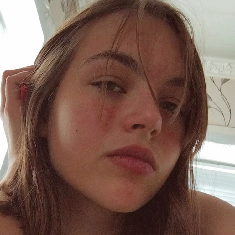  24503101  , 22 ,    