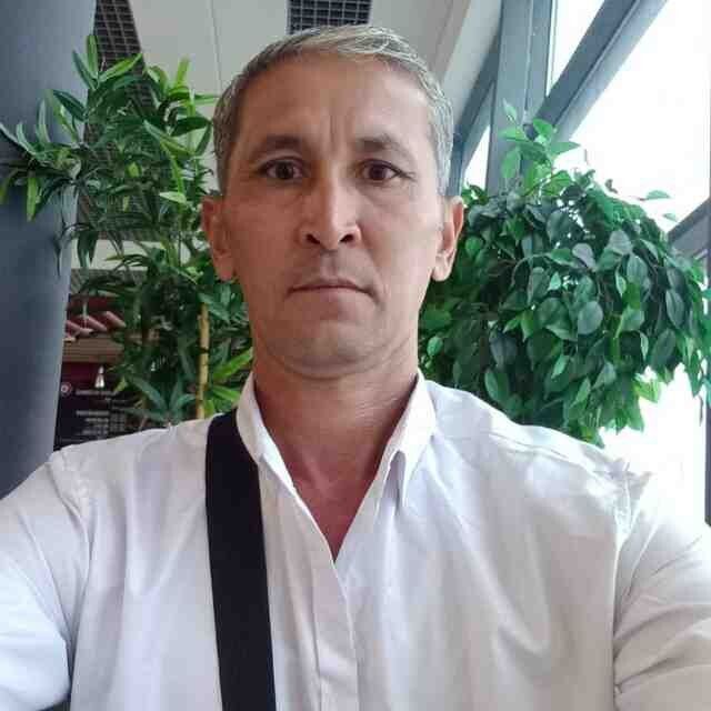  46142181   , 41 ,    