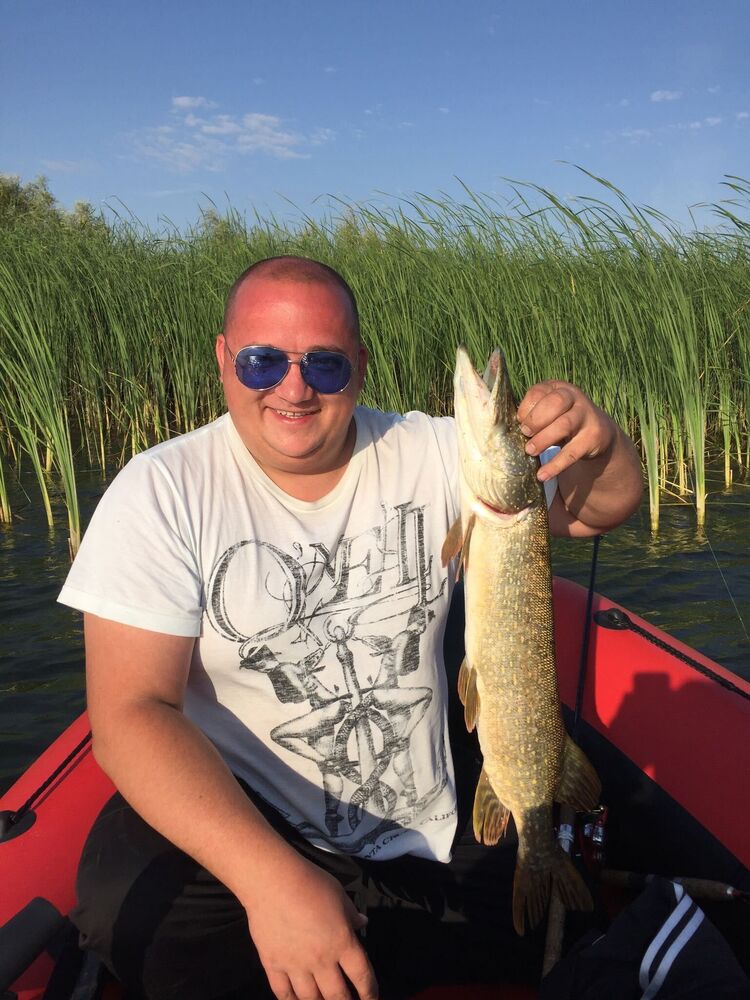 ���������� ������, ���� ������� ��������, 42 ����, ������������ ��� ������, ����� � ���������, c�������� ���������