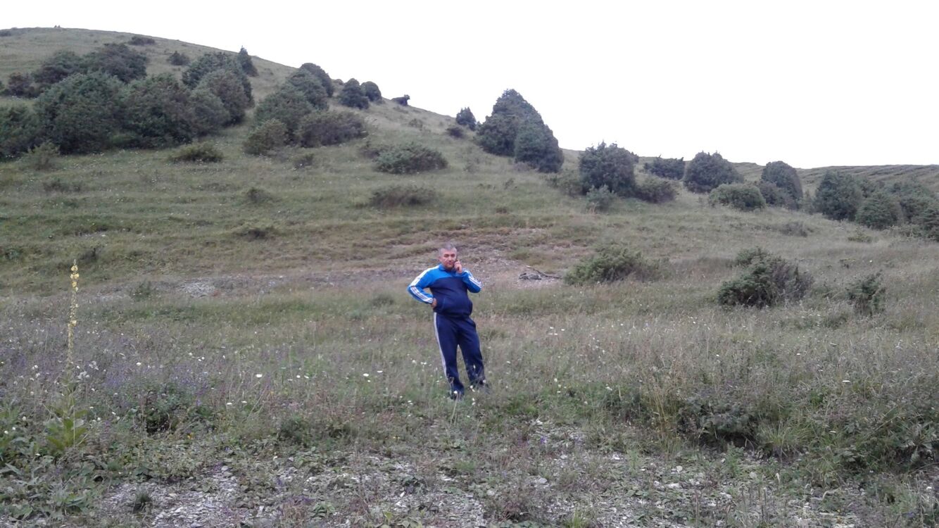 ���������� ������, ���� ������� �����, 43 ����, ������������ ��� ������, ����� � ���������, c�������� ���������