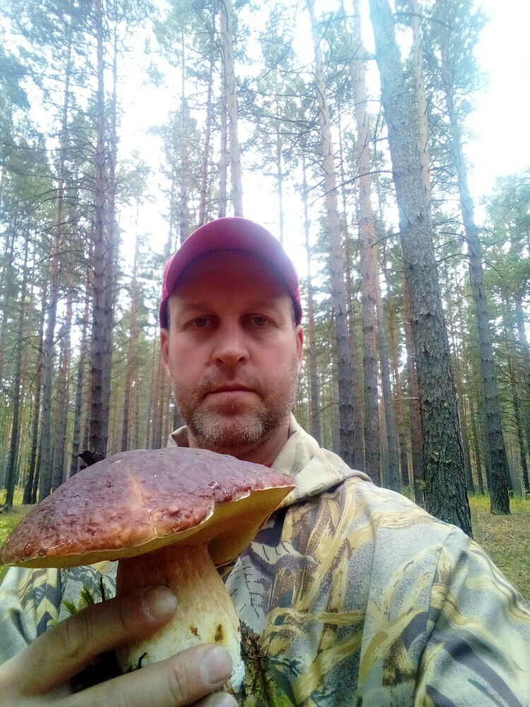 ,   , 50 ,   c 
