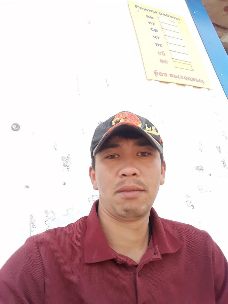  23731541  , 31 ,    -