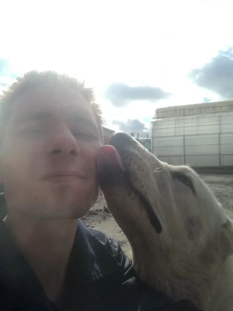 ���� 31412311 ������� ���������, 33 ����, ���� ���������� � �������