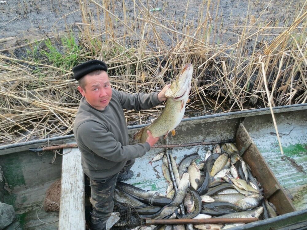 ���������� �������, ���� ������� ������, 47 ���, ������������ ��� ����� � ���������, c�������� ���������