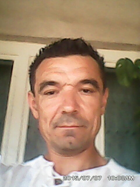  6771551  Volli40, 52 ,    
