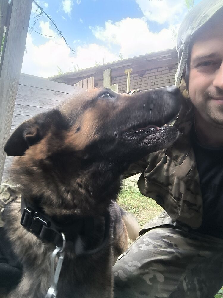 ���� 35047011 ������� ����, 35 ���, ���� ���������� � ������