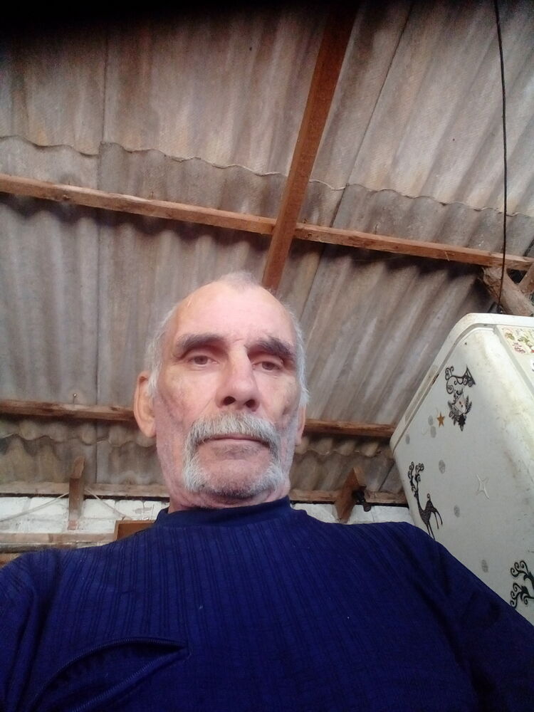  37669691  , 59 ,    