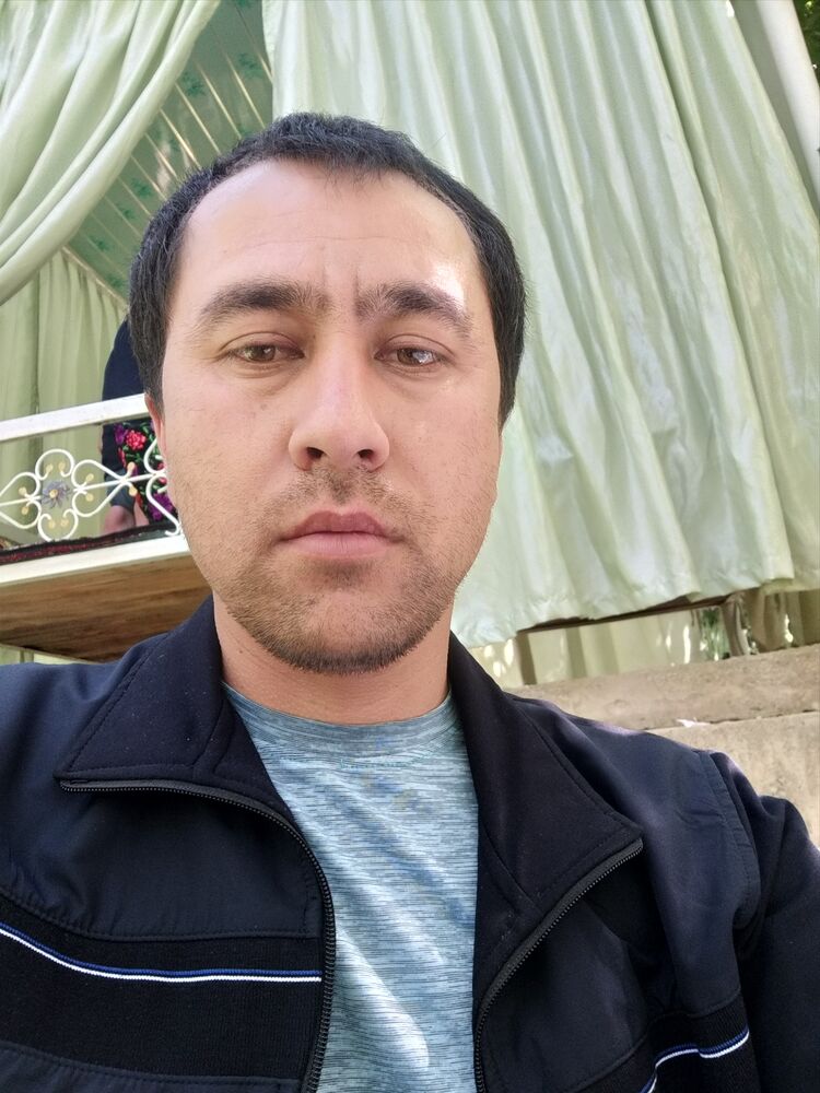 ���� 24941181 ������� ������, 42 ����, ���� ���������� � ������