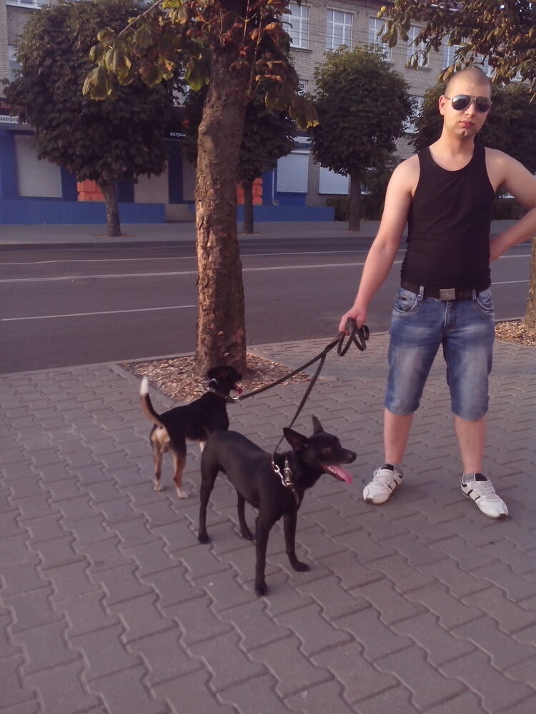 ���������� ��������, ���� ������� ������, 33 ����, ������������ ��� ����� � ���������, c�������� ���������