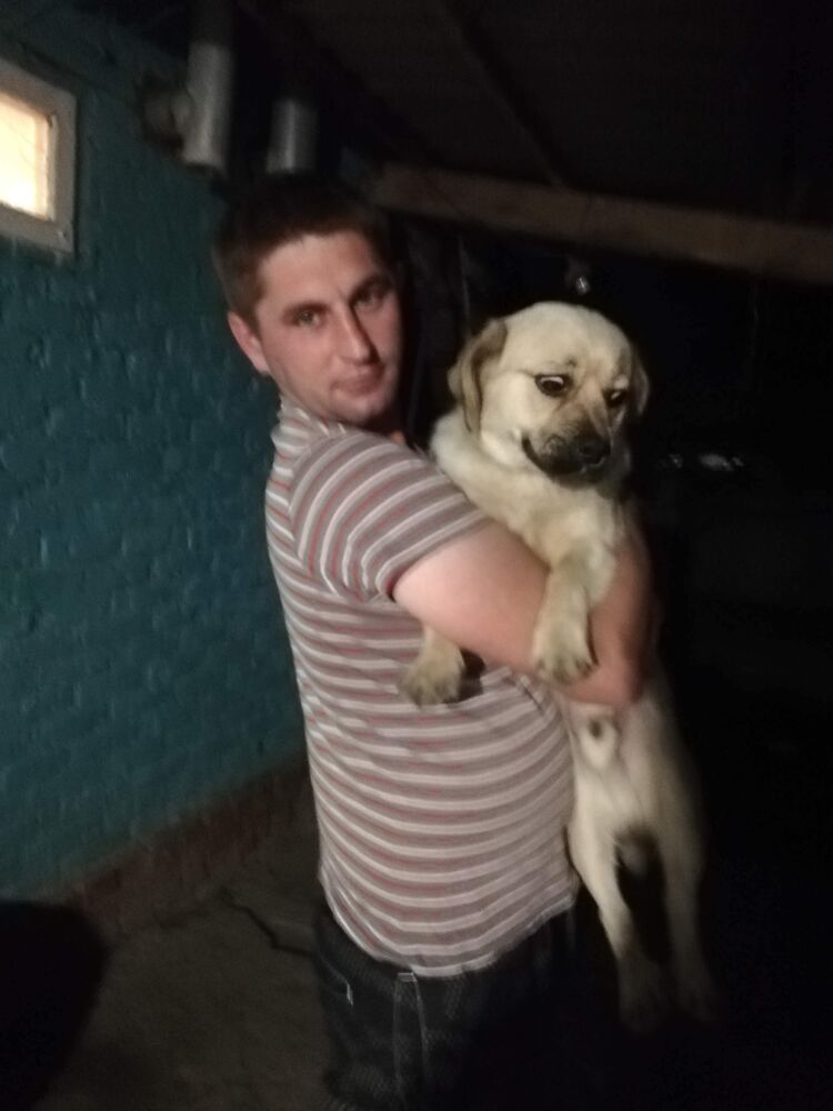  40431161  Igor, 39 ,    -