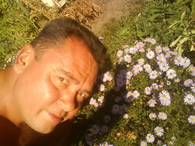  8525971  , 62 ,    --