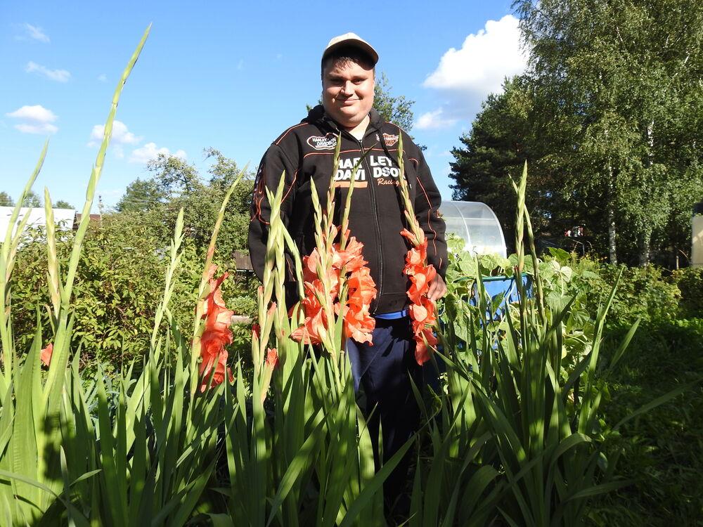 ���������� �����-���������, ���� ������� ����, 31 ���, ������������ ��� ������, ����� � ���������