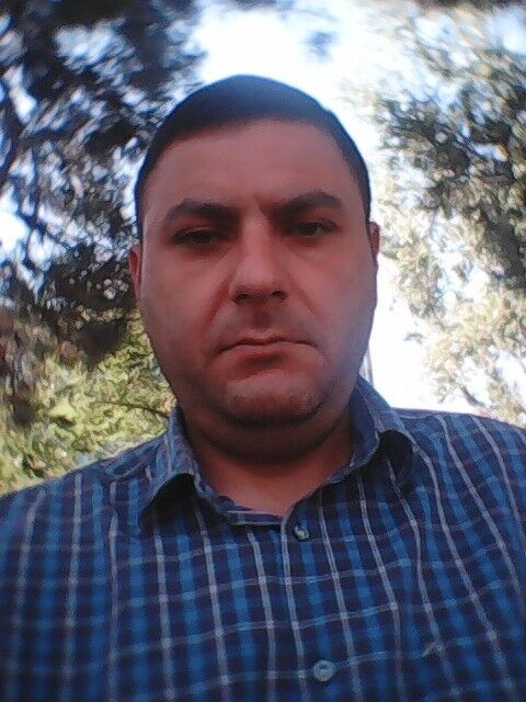 ���� 9981131 ������� Dato, 46 ���, ���� ���������� � �������