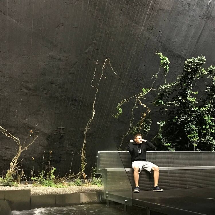  29917801  , 23 ,    