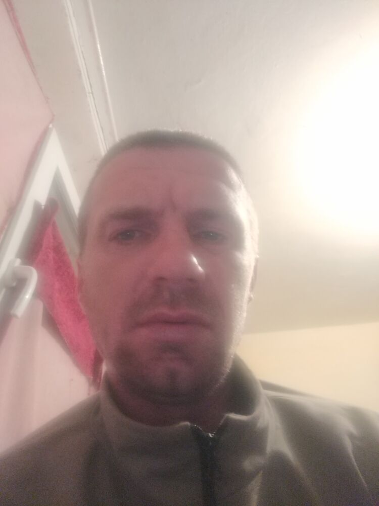  43504461  , 38 ,    