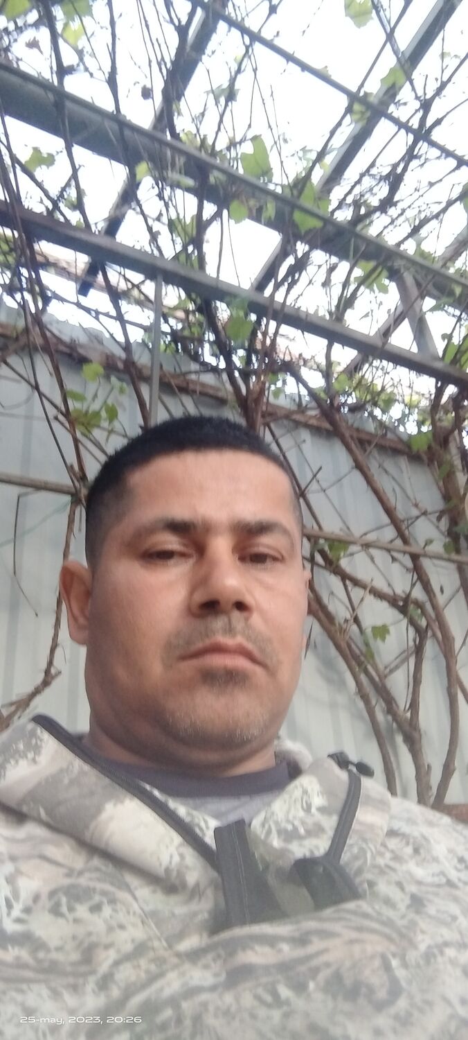 ���� 34747631 ������� �����, 44 ����, ���� ���������� � ��������