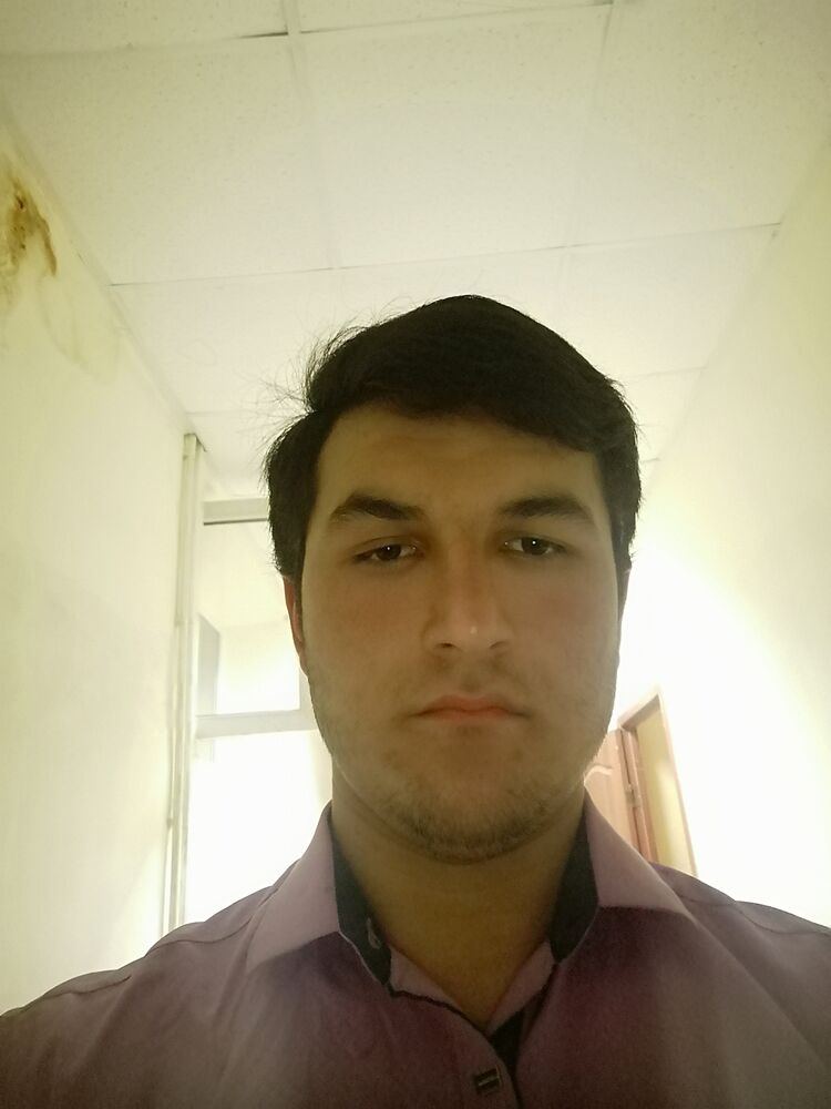  33468191  , 37 ,    