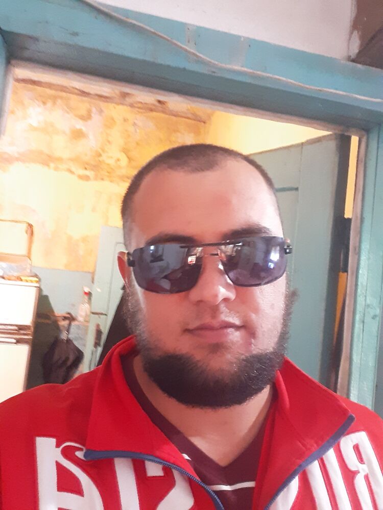  28382651  , 31 ,    