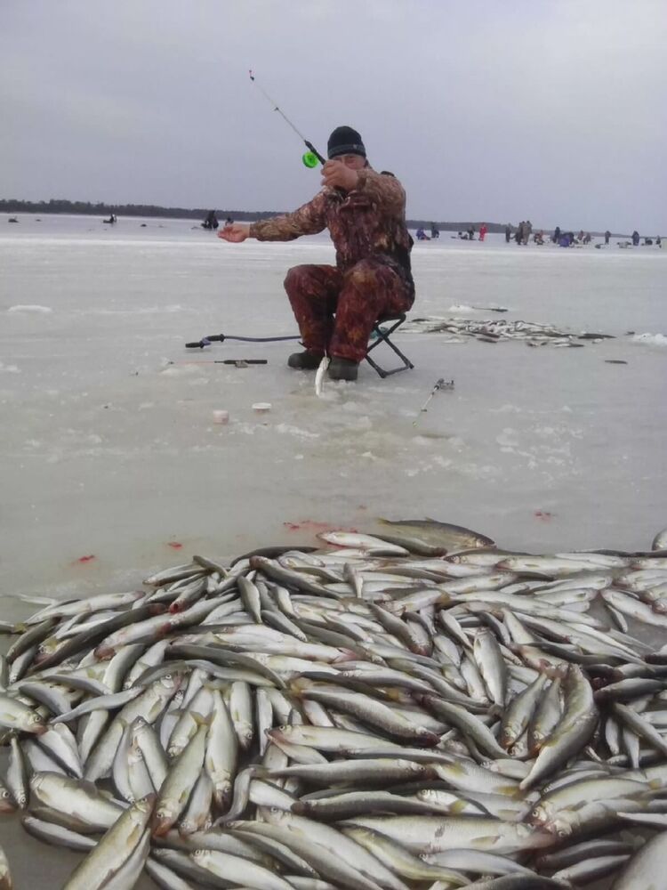 ���������� ����-���������, ���� ������� ������, 48 ���, ������������ ��� ������