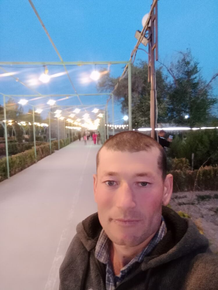  42600281  , 34 ,    