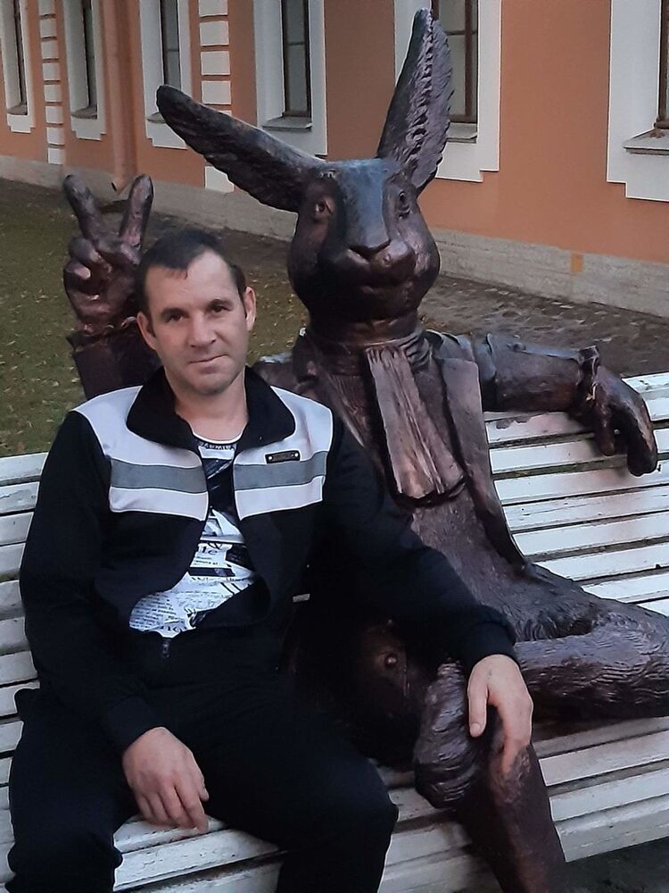  19558621  , 41 ,    