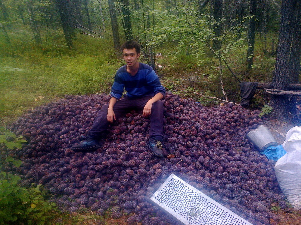 ���� 8213891 ������� 89500799219, 30 ���, ���� ���������� � ��������