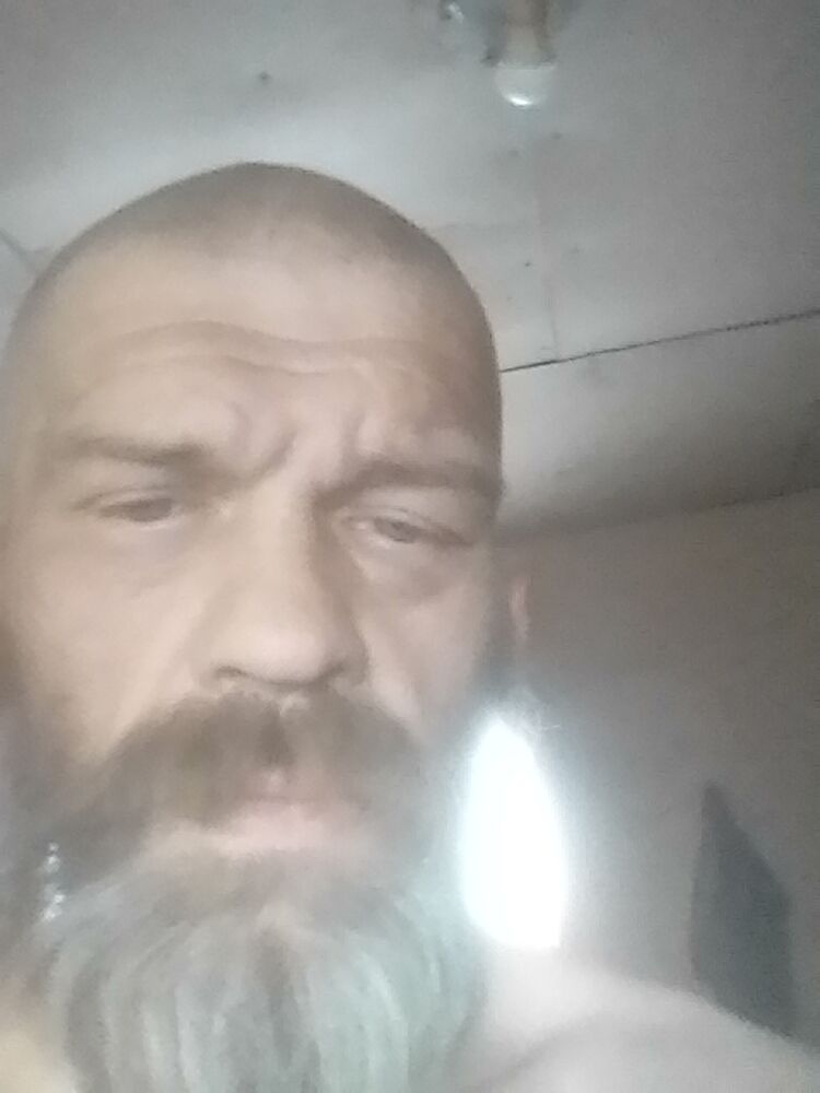  34384391  , 51 ,    