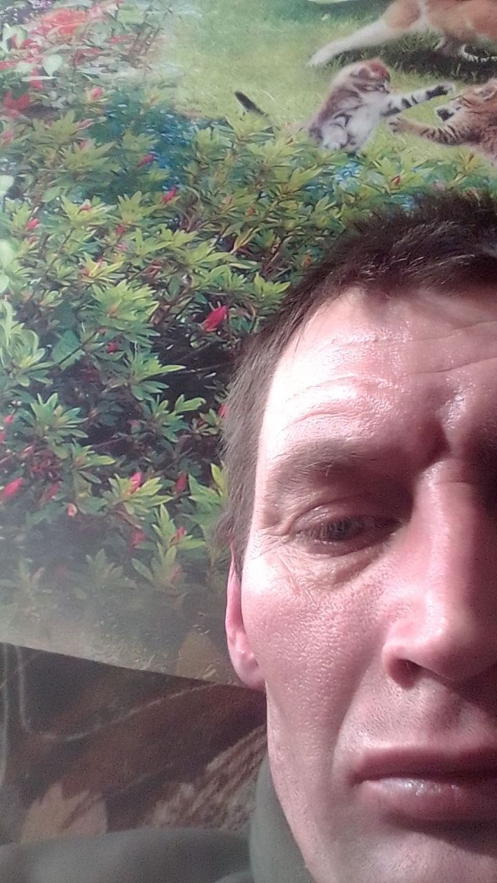 ���� 25129101 ������� ���, 44 ����, ���� ���������� � �����