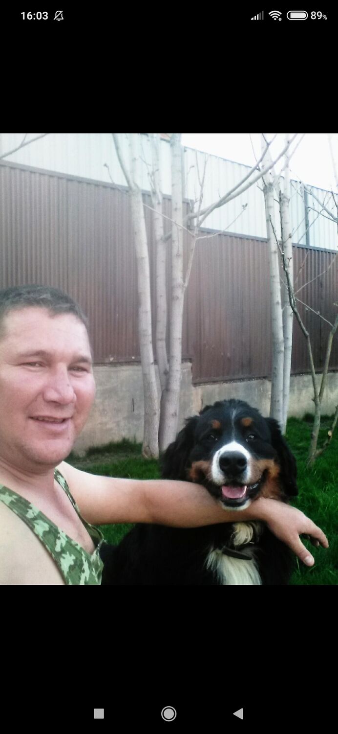 ���� 25296141 ������� �����, 41 ���, ���� ���������� � ��������