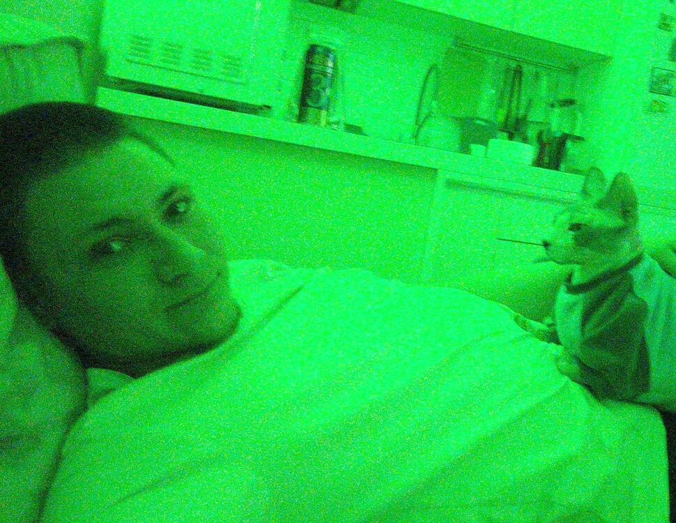 ���� 55266881 ������� �������, 28 ���, ���� ���������� � ����������