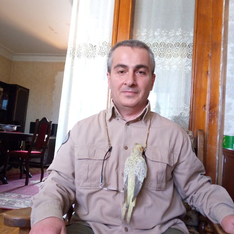 ���������� �������, ���� ������� Otari, 50 ���, ������������ ��� ������, ����� � ���������