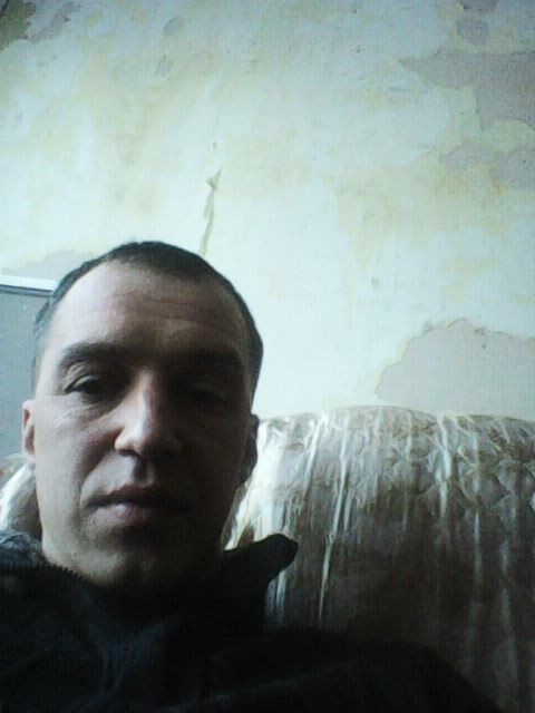  ,   Alega, 41 ,   c 