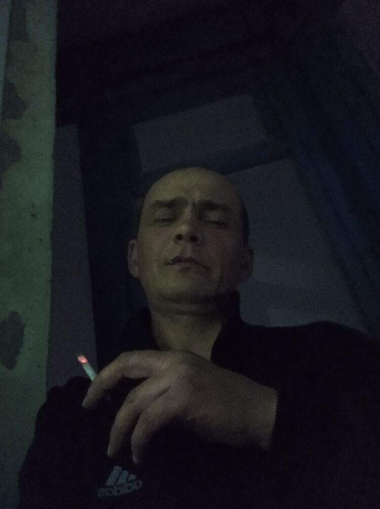  38295701  , 44 ,    
