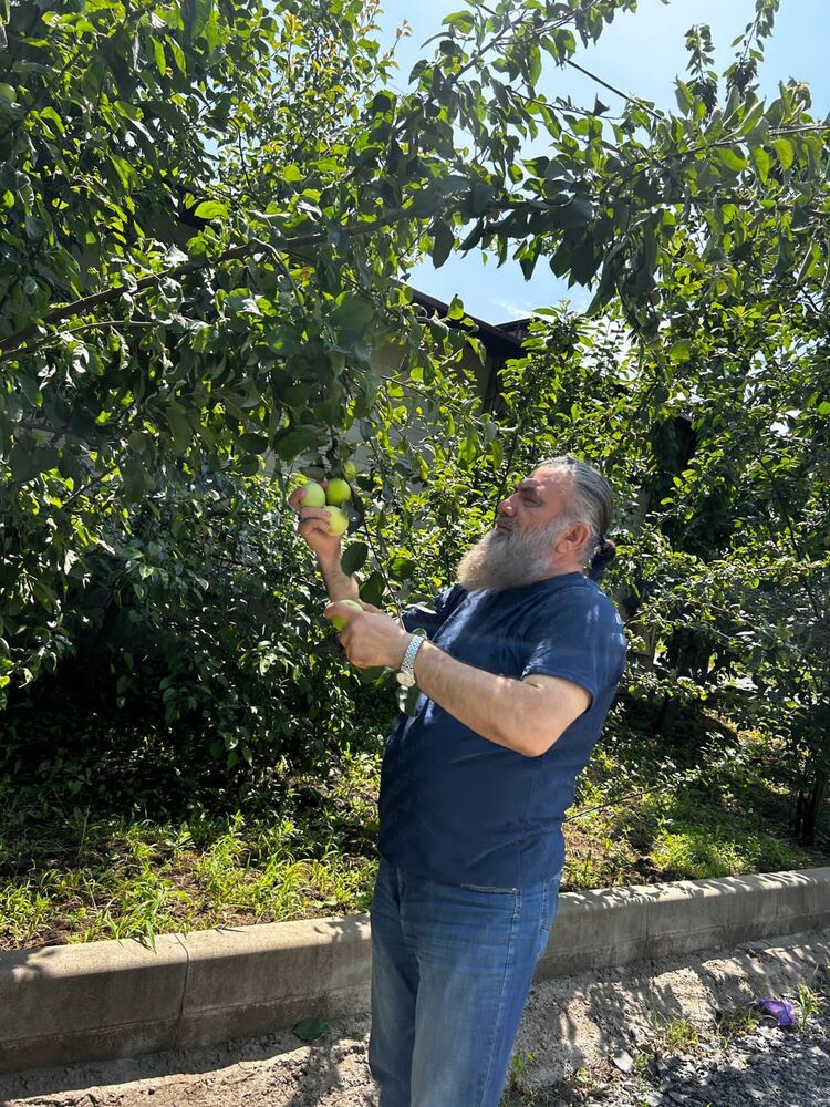  38017771  , 46 ,    --