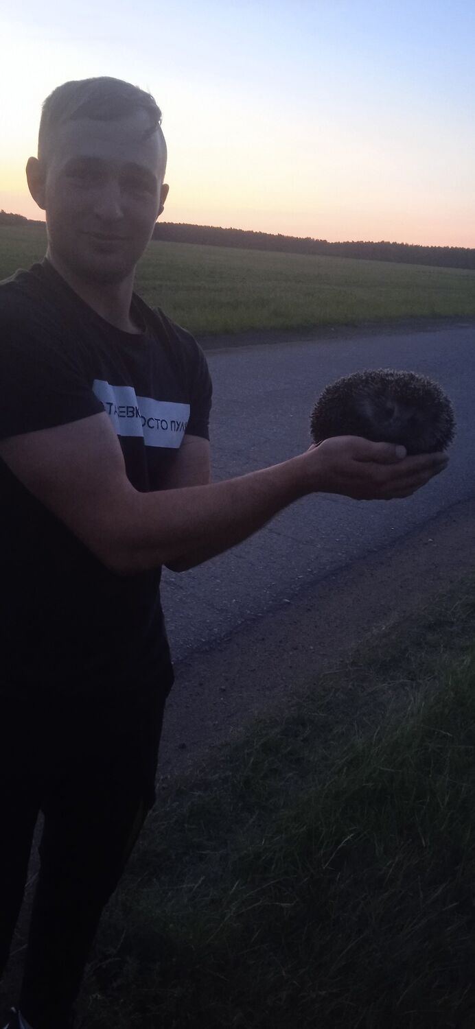 ���� 40223431 ������� ����, 28 ���, ���� ���������� � ������������