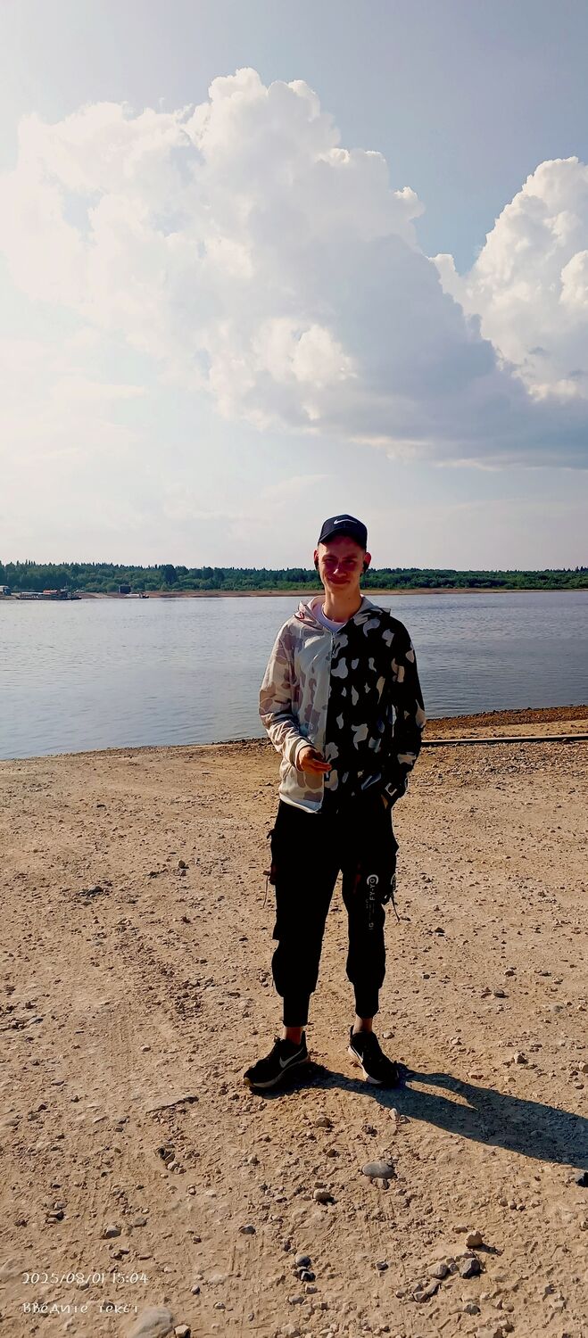  53542981  , 22 ,    -