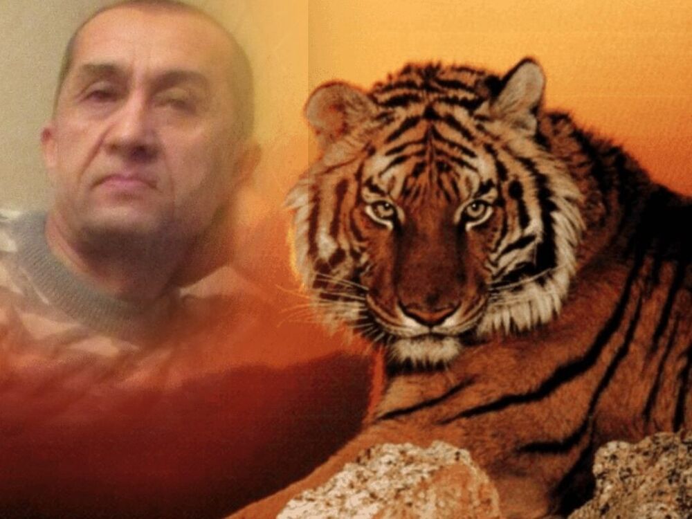 ���� 31563201 ������� Jura, 55 ���, ���� ���������� � �����-����������