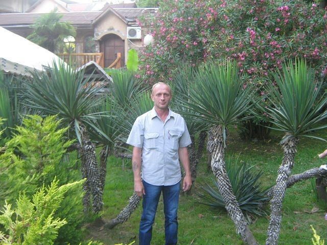  ,   , 54 ,     , c 