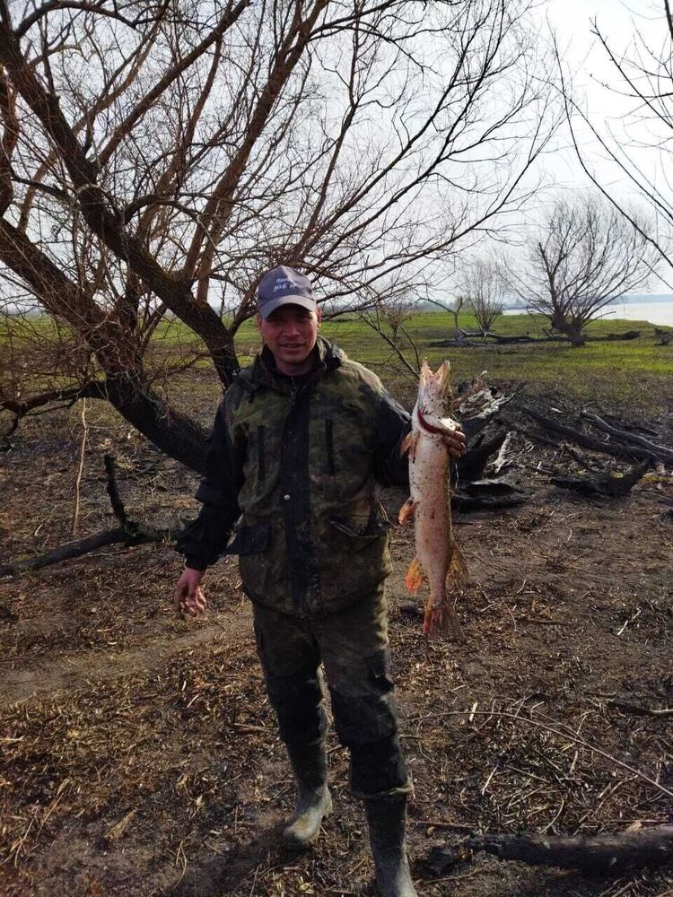 ���� 28771831 ������� ��������, 35 ���, ���� ���������� � �����