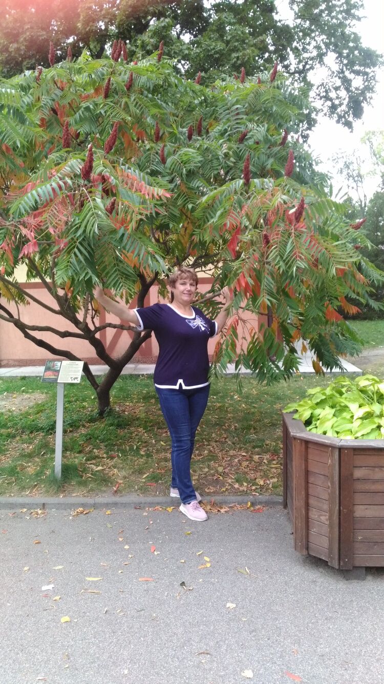  ,   , 62 ,     , c 