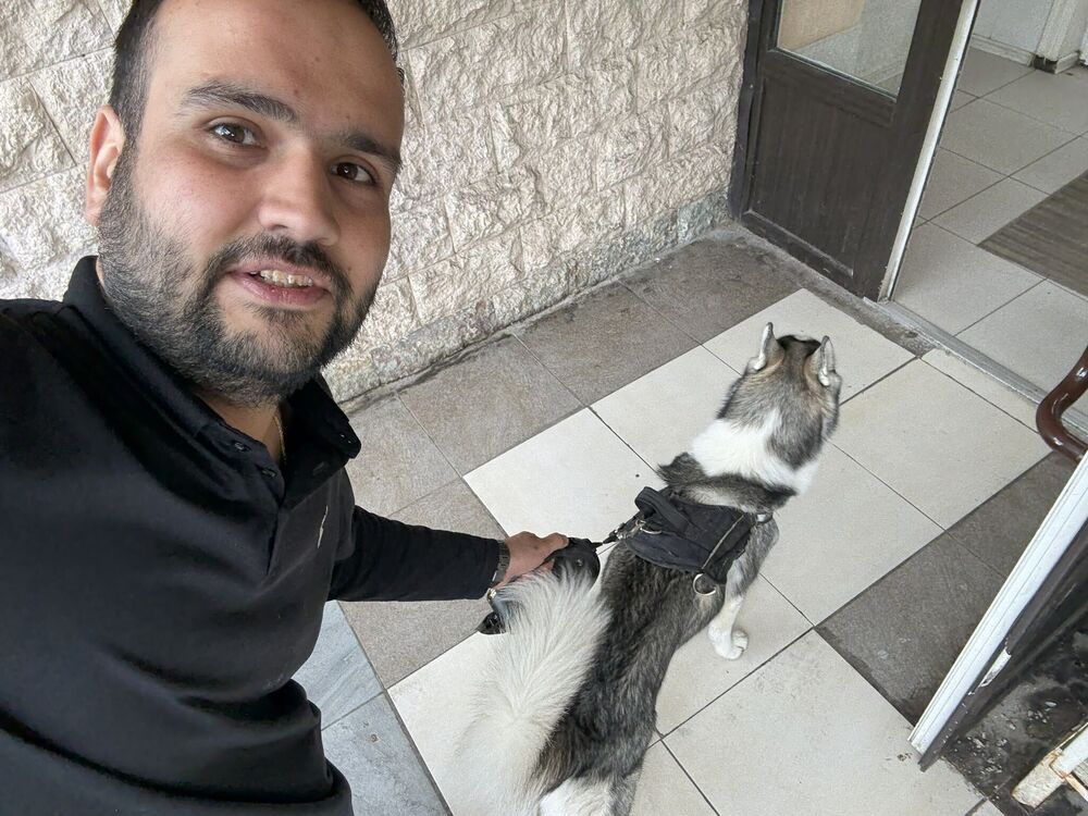 ���� 55151931 ������� �����, 35 ���, ���� ���������� � �����-����������